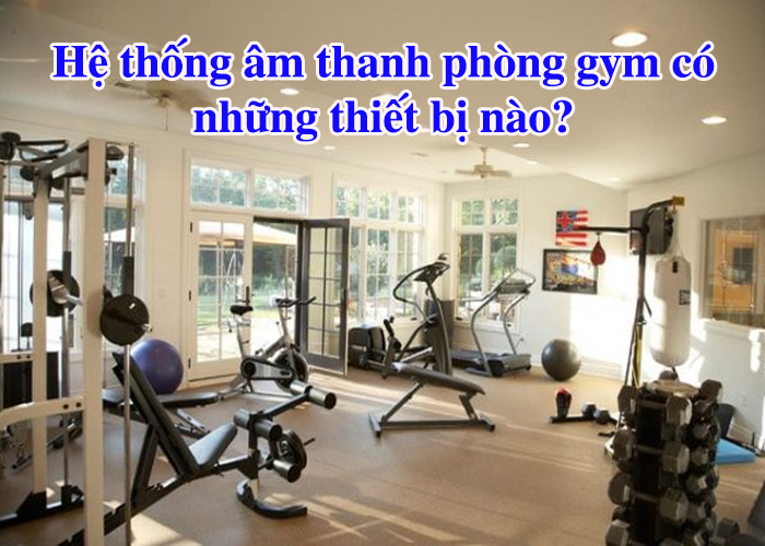 Hệ thống âm thanh phòng gym có những thiết bị nào